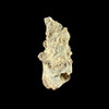fulgurite for sale