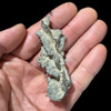 Fulgurite for sale Fulgurite for sale