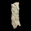 fulgurite for sale