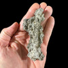 fulgurite for sale