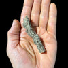 Fulgurite specimen Fulgurite specimen