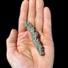 Fulgurite specimen Fulgurite specimen