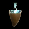 Mosasaur tooth pendant