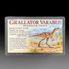 Authentic Dinosaur Footprint Fossil | Fossilsplus.com