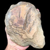Stone-age handaxe Stone-age handaxe