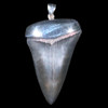 Mako fossil shark tooth pendant