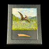 Pterosaur tooth