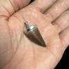 Mosasaur tooth pendant