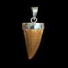 Mosasaur tooth pendant