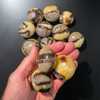 Septarian Palm Stones 1Kg Lot