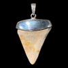 Great white shark tooth pendant