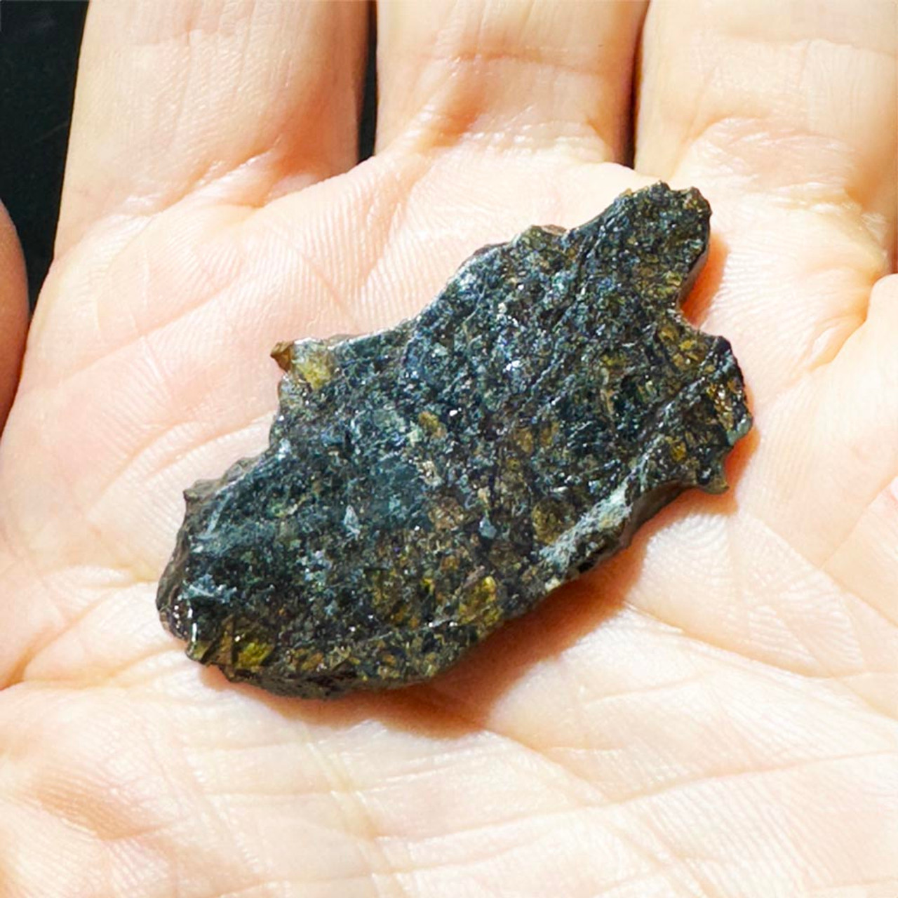 Admire Pallasite Meteorite For Sale Pangaea