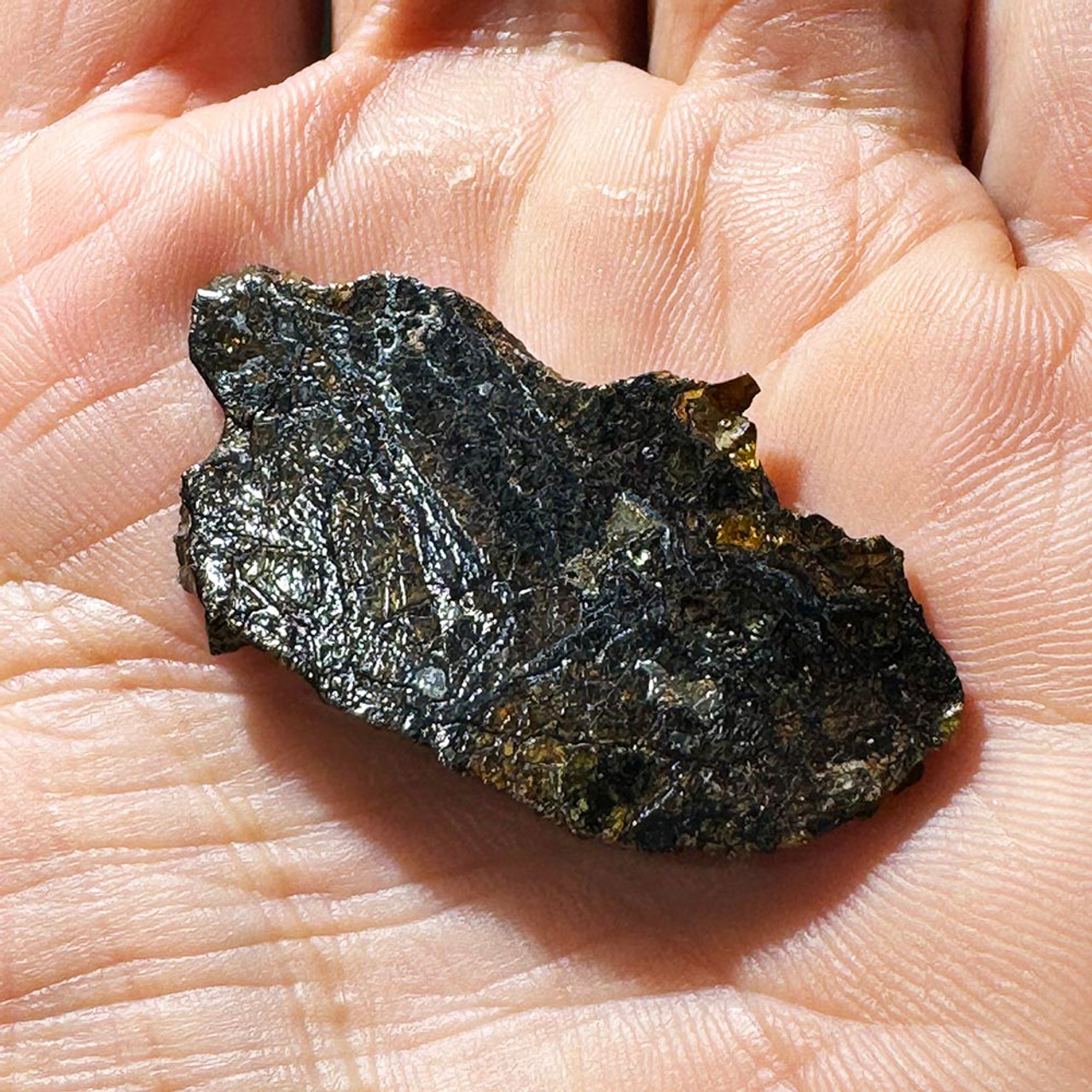 Admire Pallasite Meteorite For Sale Pangaea