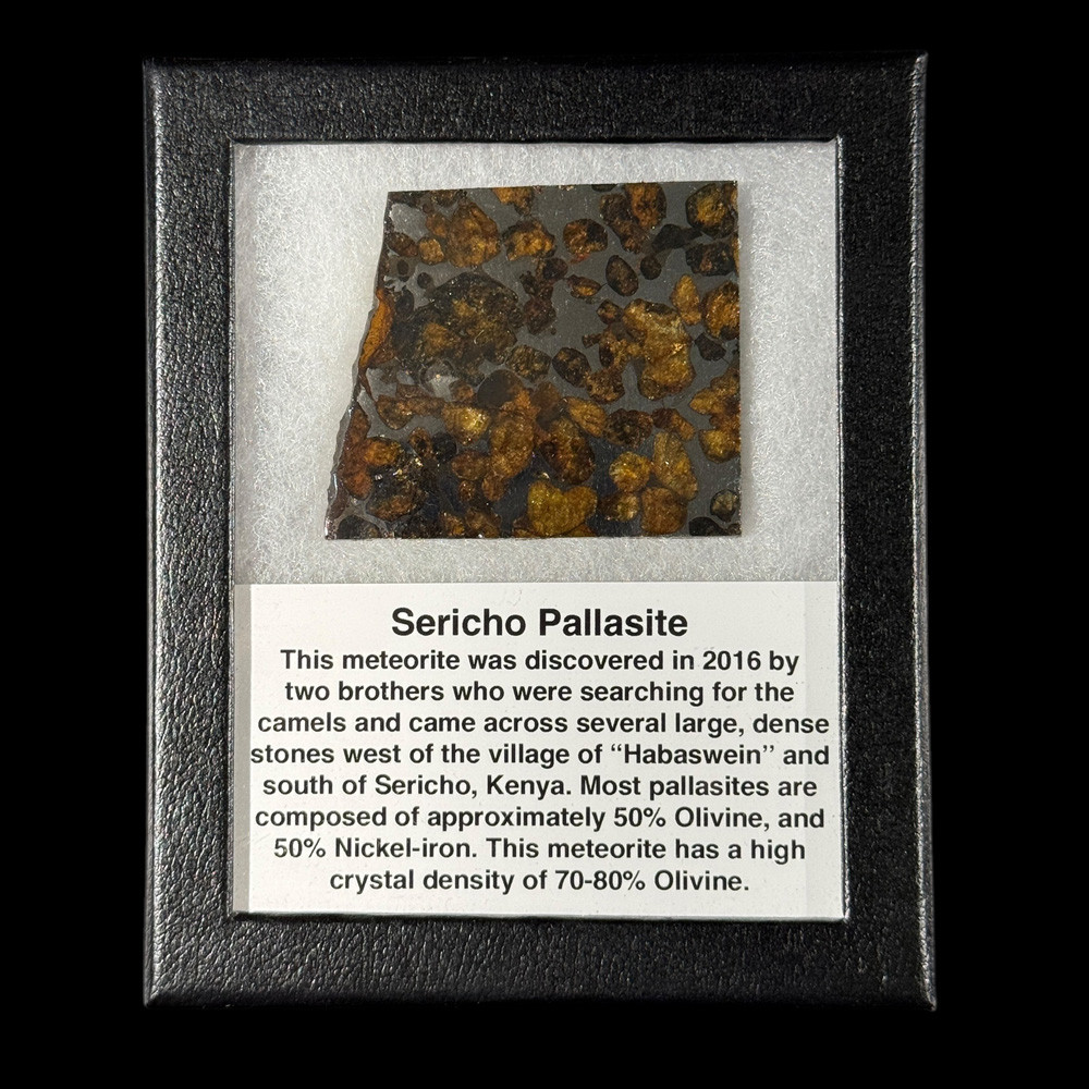 Sericho pallasite meteorite for sale | Fossilsplus.com