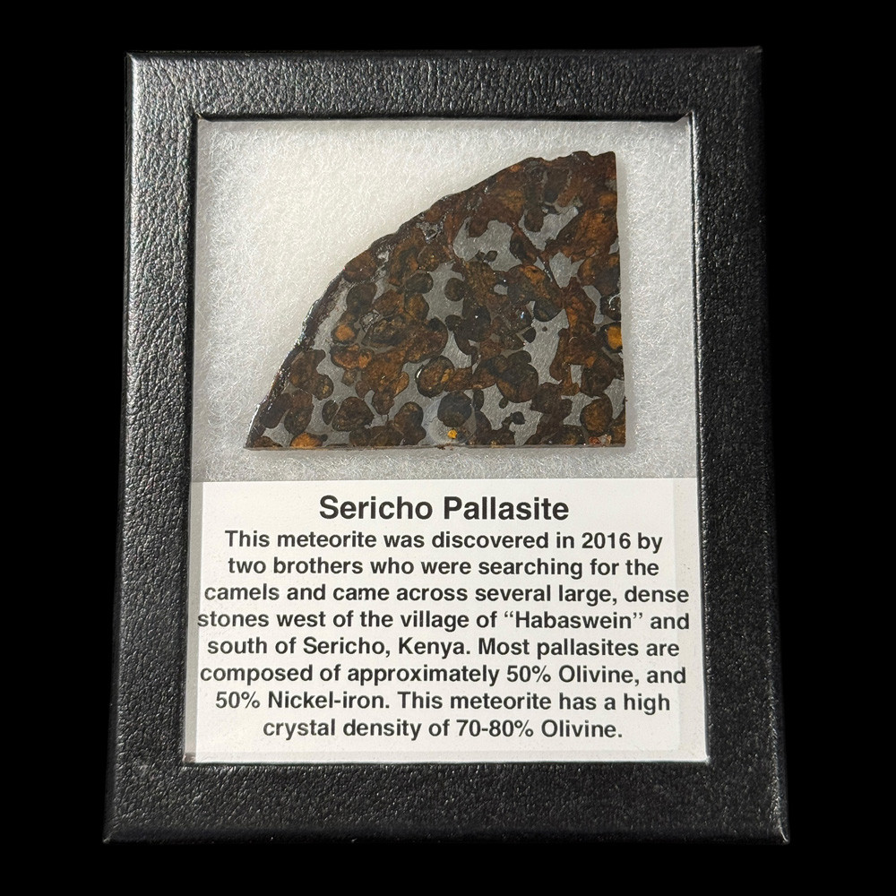 Sericho pallasite meteorite for sale | Fossilsplus.com
