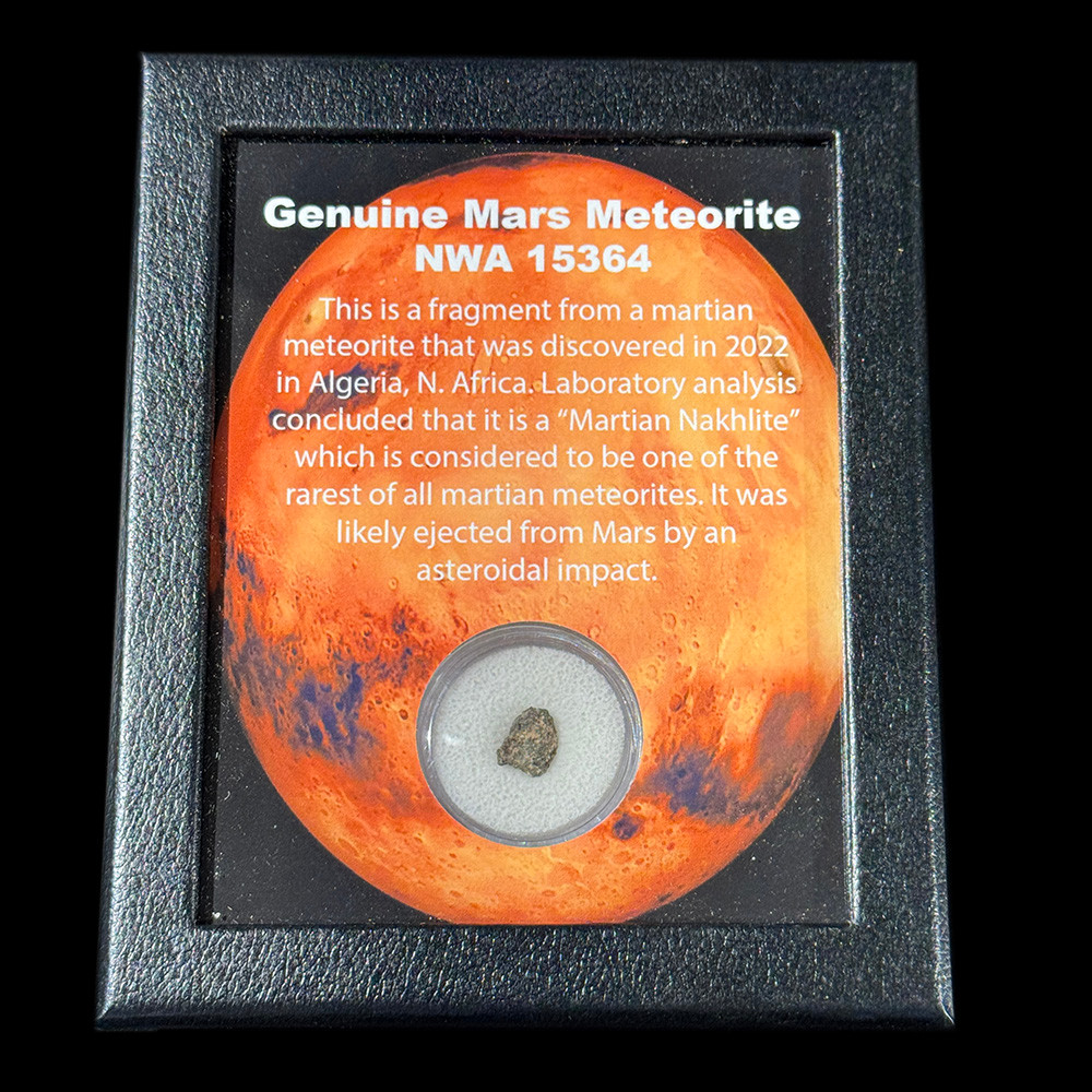 Mars meteorite NWA 15364 for sale | Fossilsplus