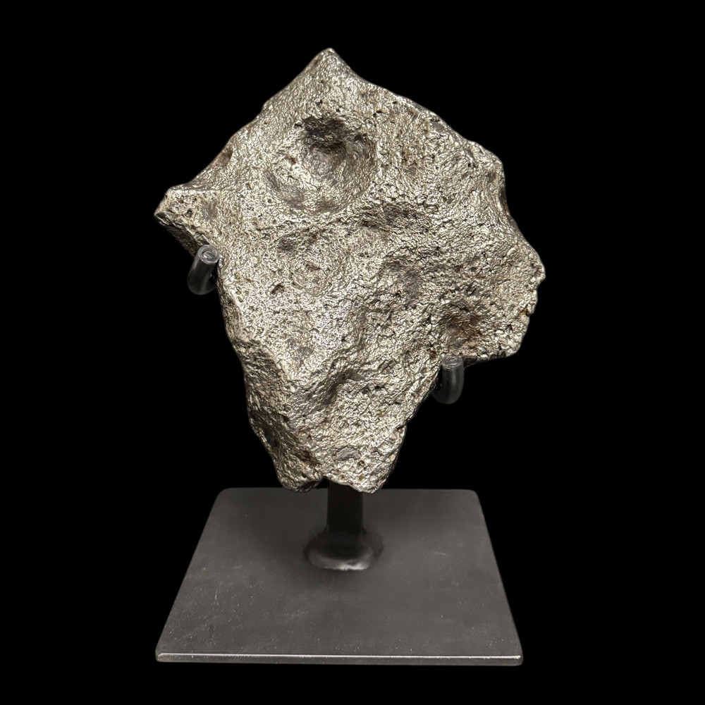 Campo del Cielo 隕石 ディスプレイスタンド付き Large Campo del Cielo Iron Meteorite on Custom Stand