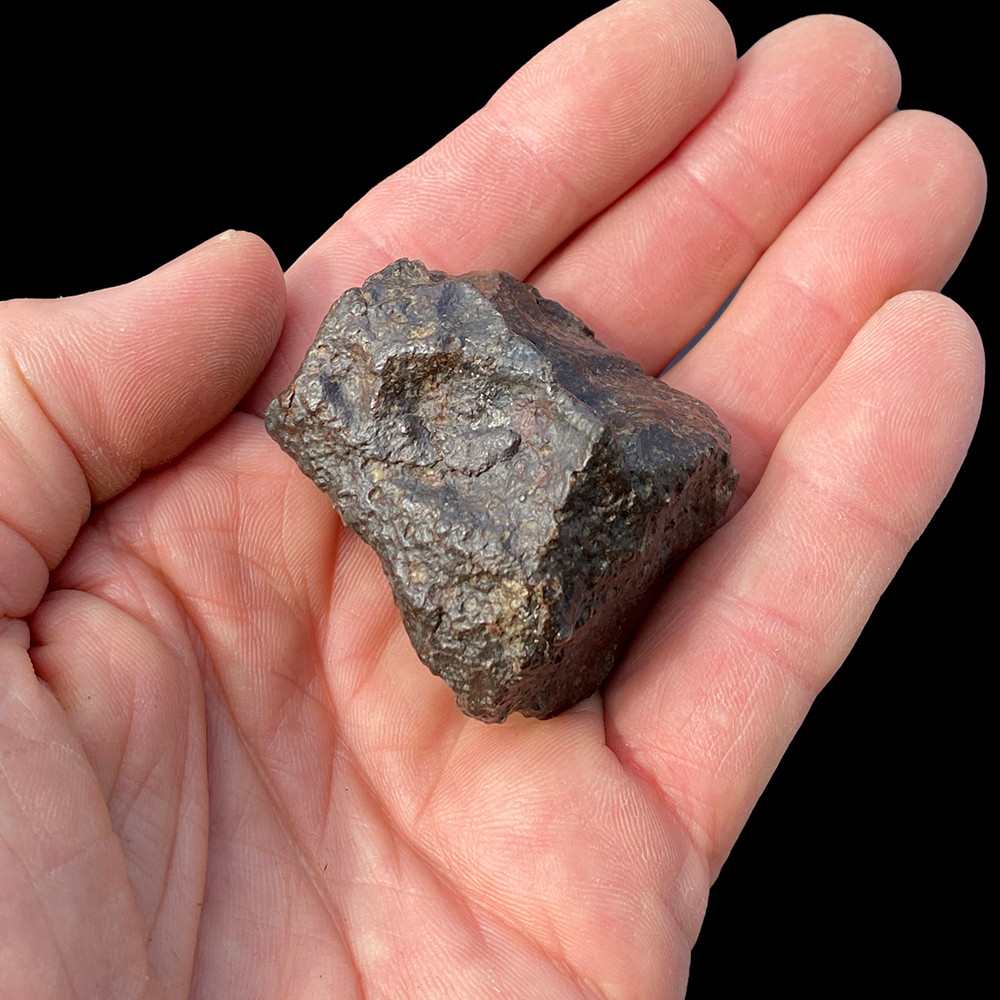 Stony Meteorite For Sale Fossilsplus