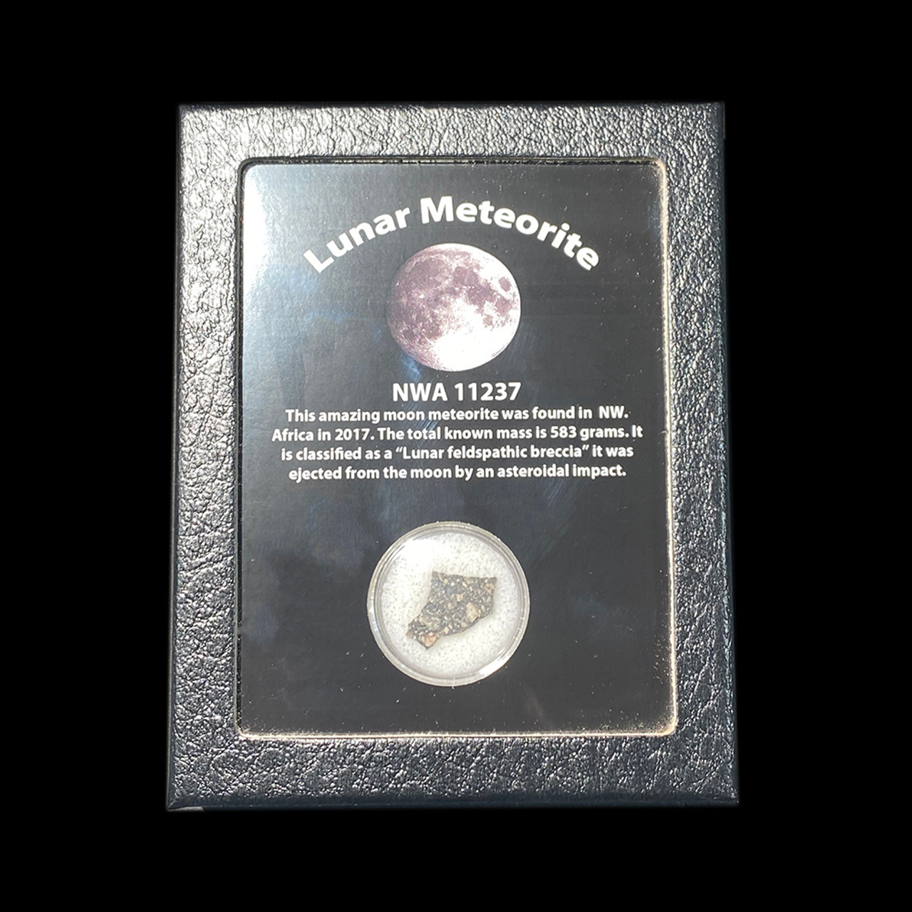 Lunar Meteorite (01)