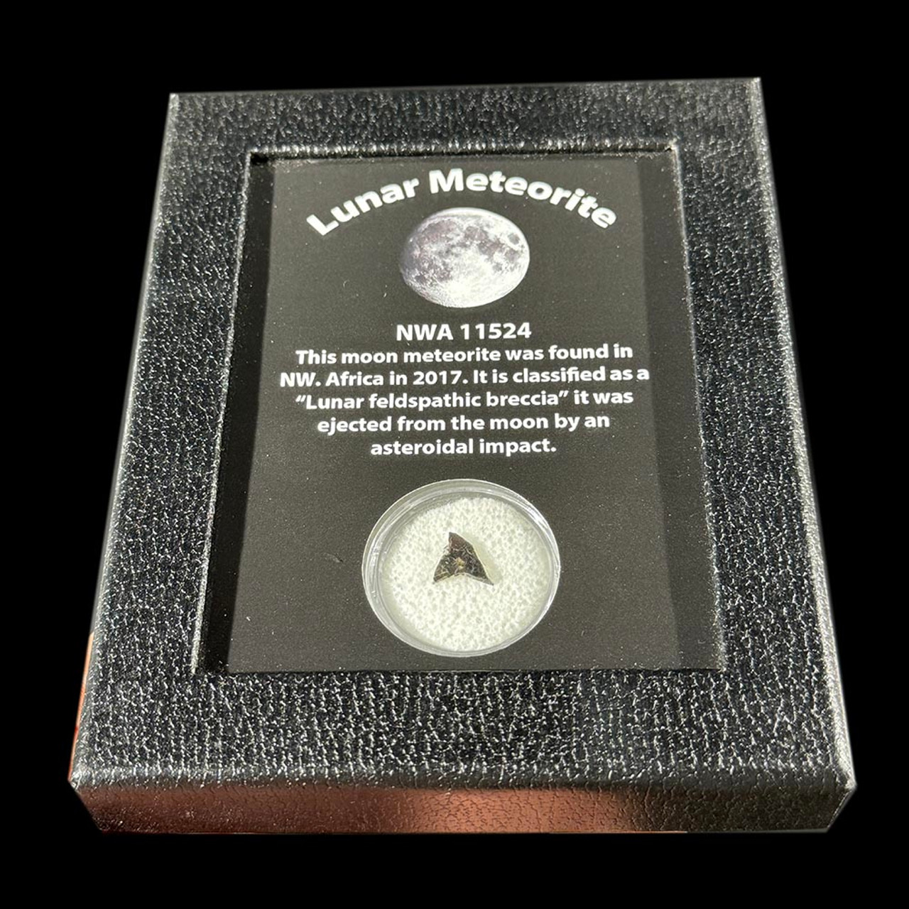 Lunar Meteorite (03)