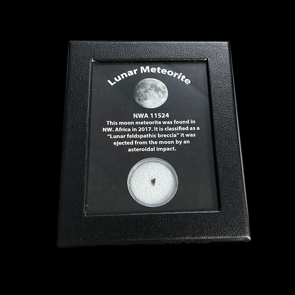 Moon Meteorite For Sale