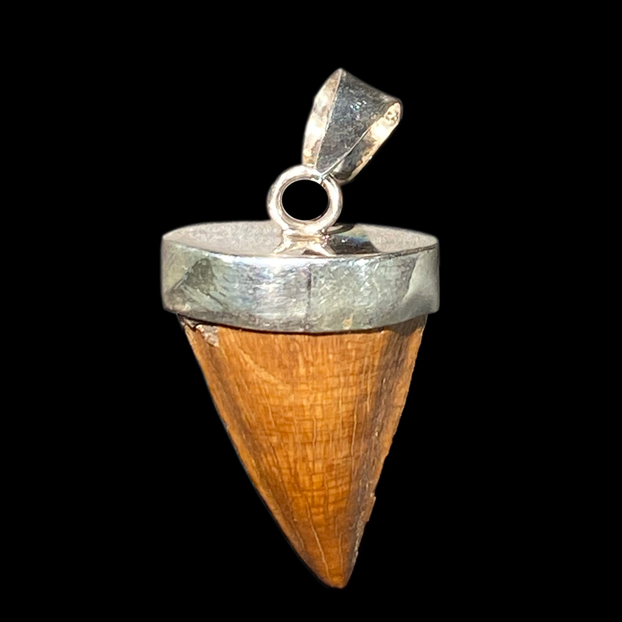 Fossil Mosasaur Tooth Necklace - An Extinct Crocodile!