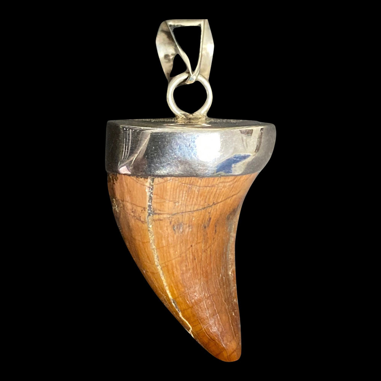 Mosasaur Tooth Pendant (08)