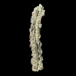 Fulgurite specimen
