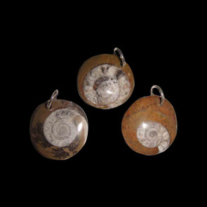 Drilled Ammonite Pendants