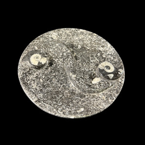Yin yang goniatite fossil dish Yin yang goniatite fossil dish
