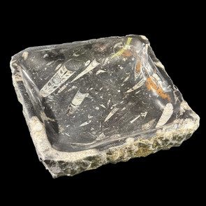 Raw edge orthoceras bowl