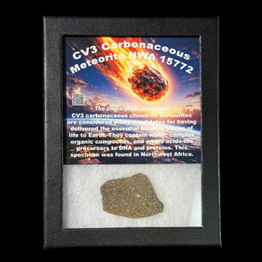 CV3 Carbonaceous meteorite