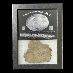 NWA 15658 eucrite meteorite polished slice 