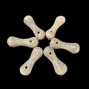 Dinosaur bone pendants