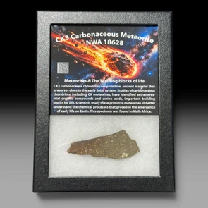NWA 18628 CK3 carbonaceous chondrite meteorite   