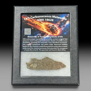NWA 18628 CK3 carbonaceous chondrite meteorite   