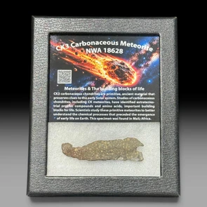NWA 18628 CK3 carbonaceous chondrite meteorite   