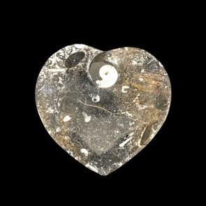 Small heart goniatite dish Small heart goniatite dish