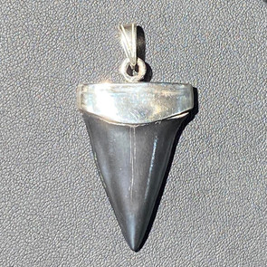 Mako fossil shark tooth pendant