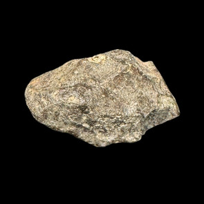 Stony meteorite for sale