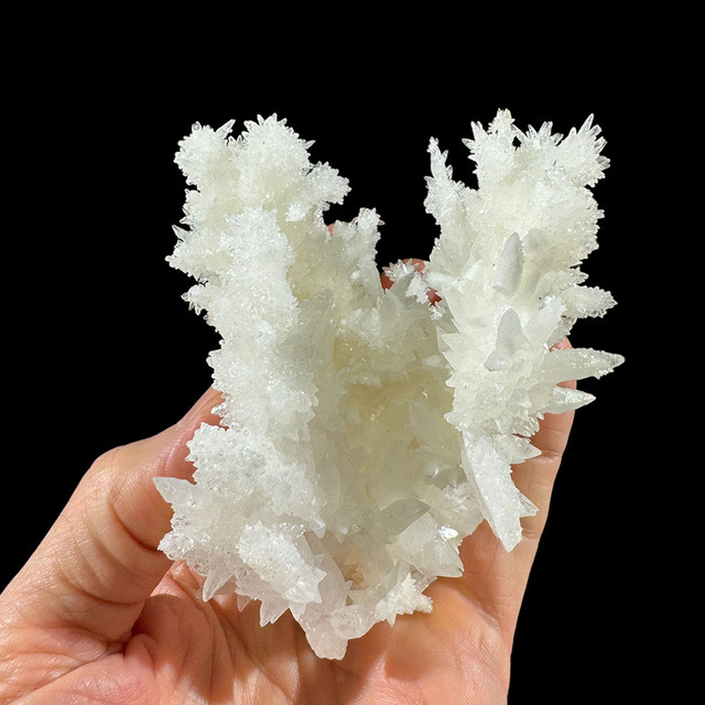 アラゴナイト「Cave Calcite 」 レア アラゴナイト「Cave Calcite 」 レア コレクション