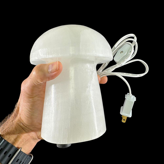 Selenite Mushroom Lamp | Fossilsplus.com/Pangaea Industries