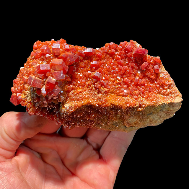 Miniature Minerals - Moroccan Vanadinite Specimen (small crystals) - Minera  Emporium Crystal & Mineral Shop