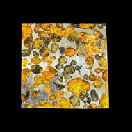 Sericho pallasite meteorite