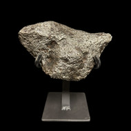 Large campo del cielo meteorite on stand