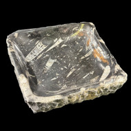 Raw edge orthoceras bowl