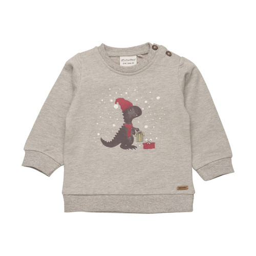 Minymo Infant Boy Sweatshirt L/S 112017-2055