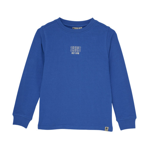 Daily7 Infant/kid Boy T-shirt Longsleeve Structure 12m-10y 920191-7992