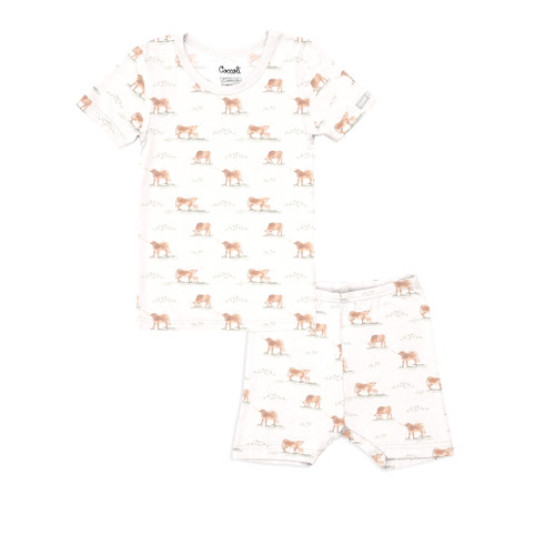 Coccoli Kid Boy Ss Modal Pyjama 2y-12y Tsm6023-198