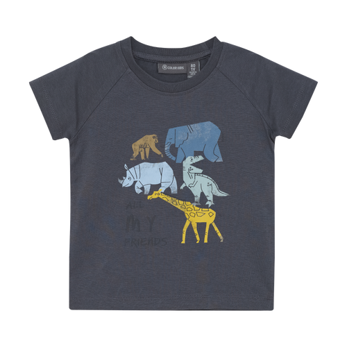 Color Kids Infant/kid Boy/girl/neutral Baby T-shirt W. Chestprint S/s 9m-6y 742533-1922